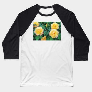 Yellow With Pink Tip Roses Baseball T-Shirt